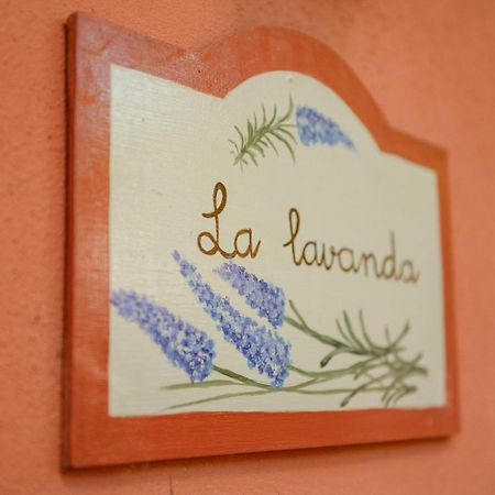 Homeforguest Cosy Rural Flat La Lavanda Surrounded By Nature Tacoronte Esterno foto