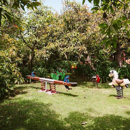 Homeforguest Cosy Rural Flat La Lavanda Surrounded By Nature Tacoronte Esterno foto