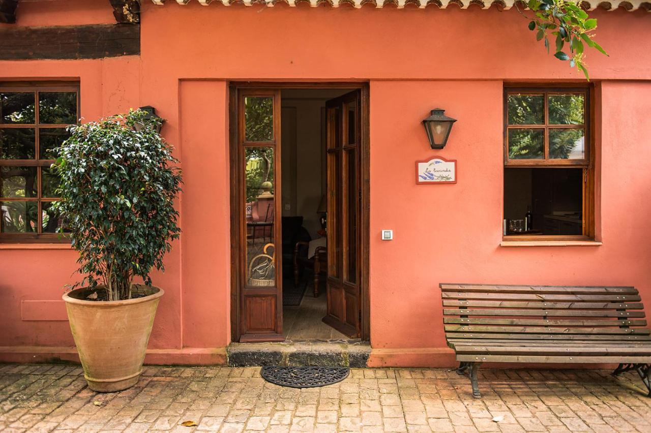 Homeforguest Cosy Rural Flat La Lavanda Surrounded By Nature Tacoronte Esterno foto