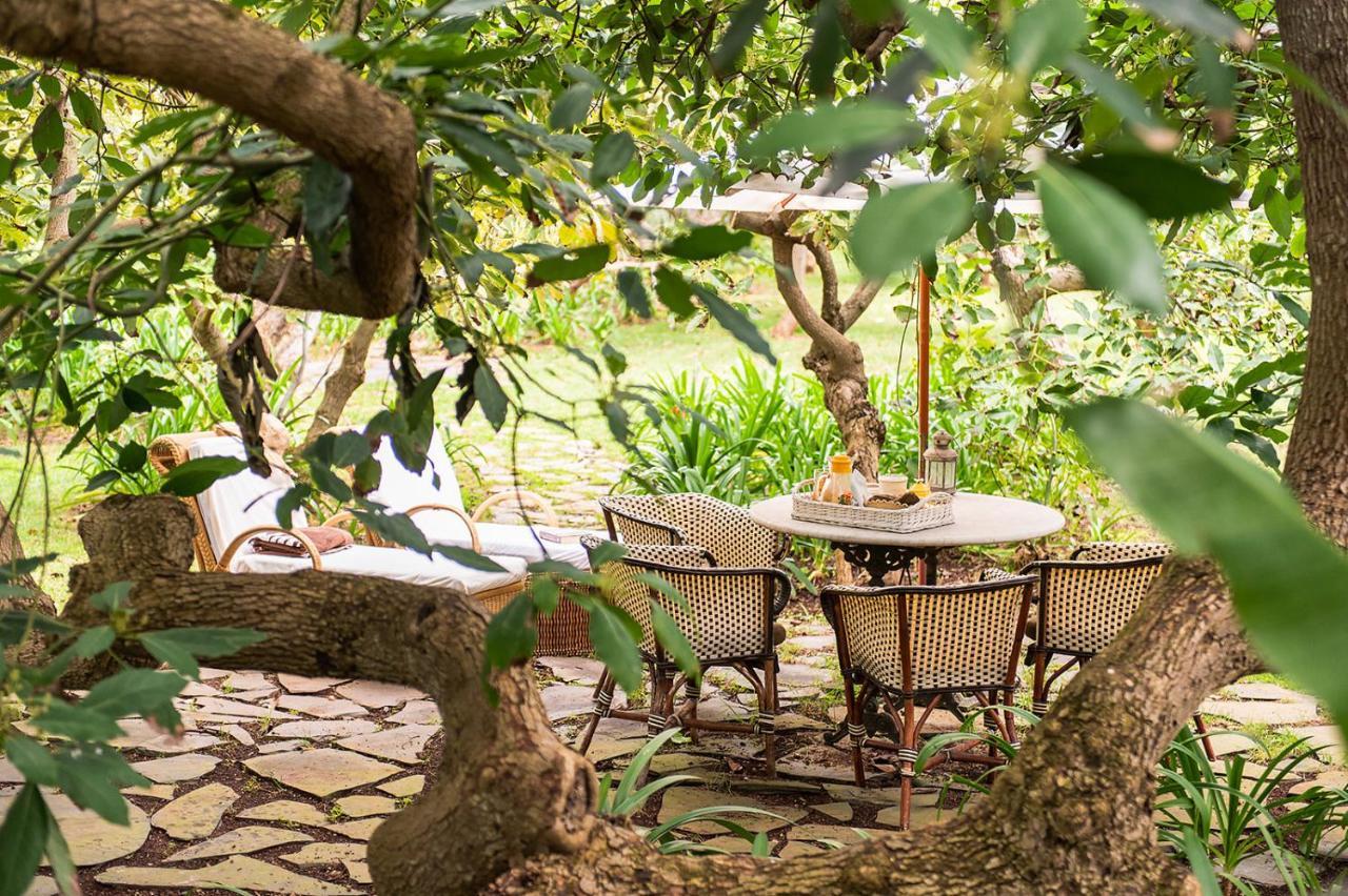 Homeforguest Cosy Rural Flat La Lavanda Surrounded By Nature Tacoronte Esterno foto