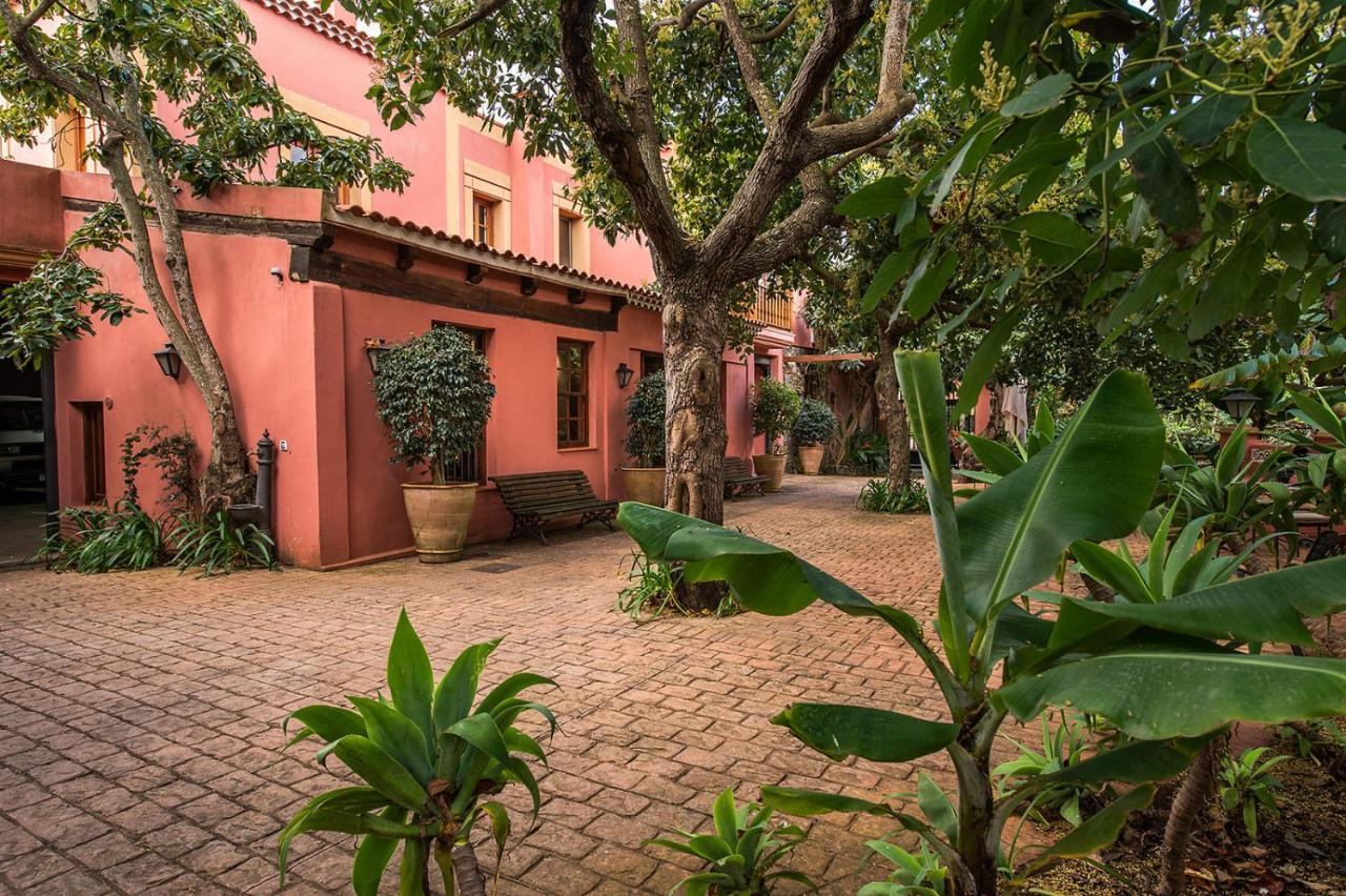 Homeforguest Cosy Rural Flat La Lavanda Surrounded By Nature Tacoronte Esterno foto