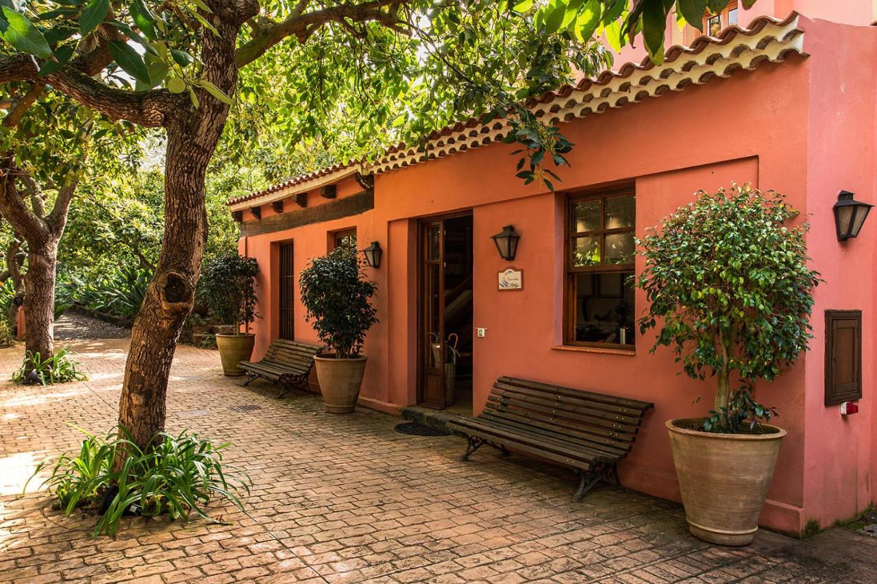 Homeforguest Cosy Rural Flat La Lavanda Surrounded By Nature Tacoronte Esterno foto