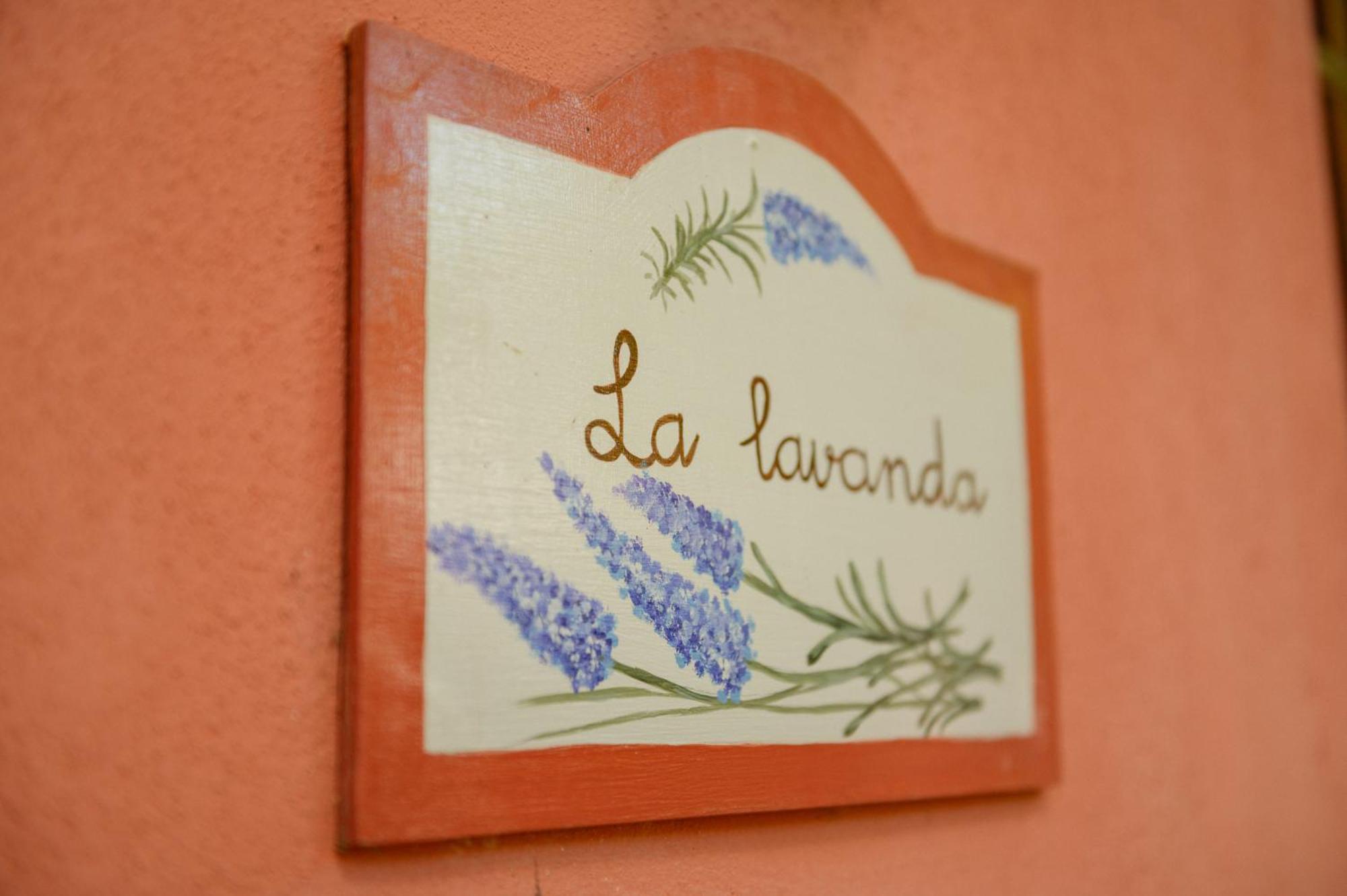 Homeforguest Cosy Rural Flat La Lavanda Surrounded By Nature Tacoronte Esterno foto