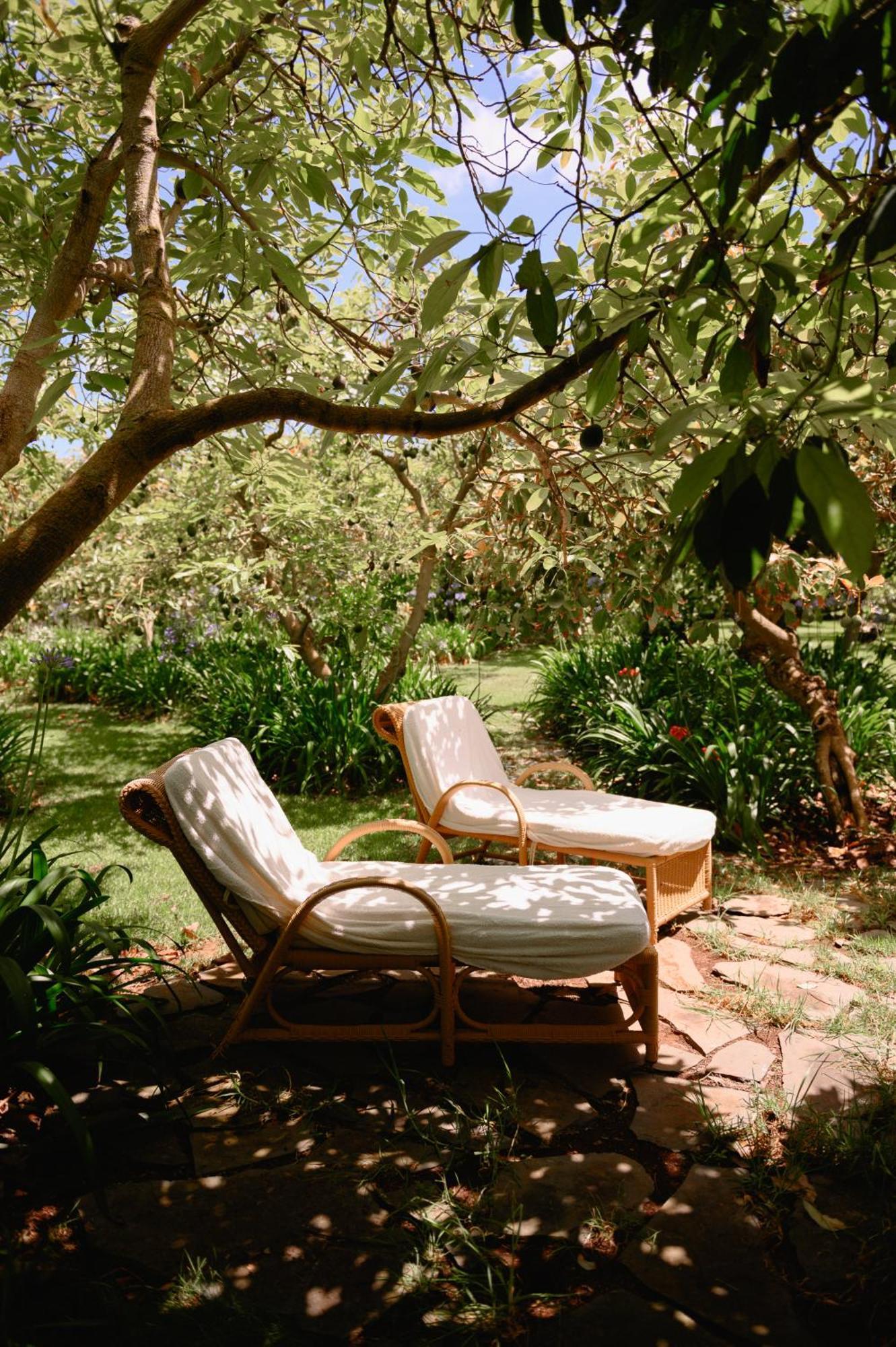 Homeforguest Cosy Rural Flat La Lavanda Surrounded By Nature Tacoronte Esterno foto